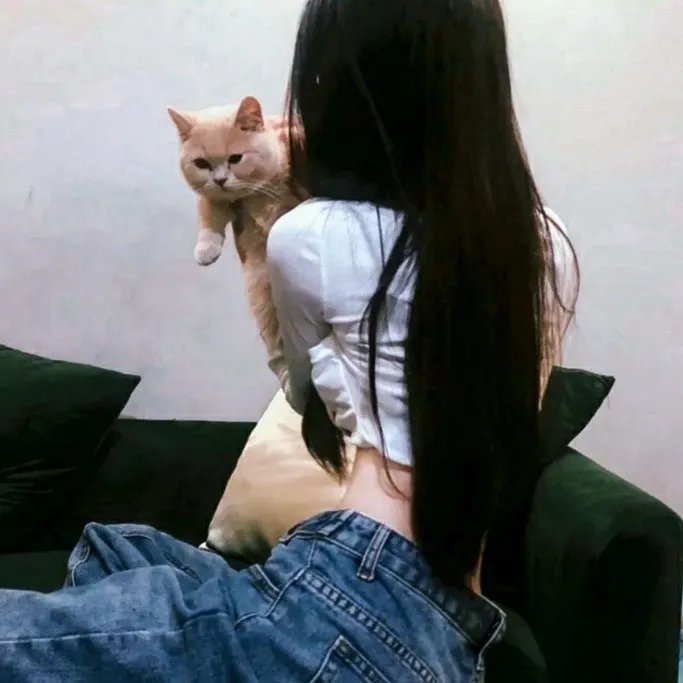 堡垒第一季